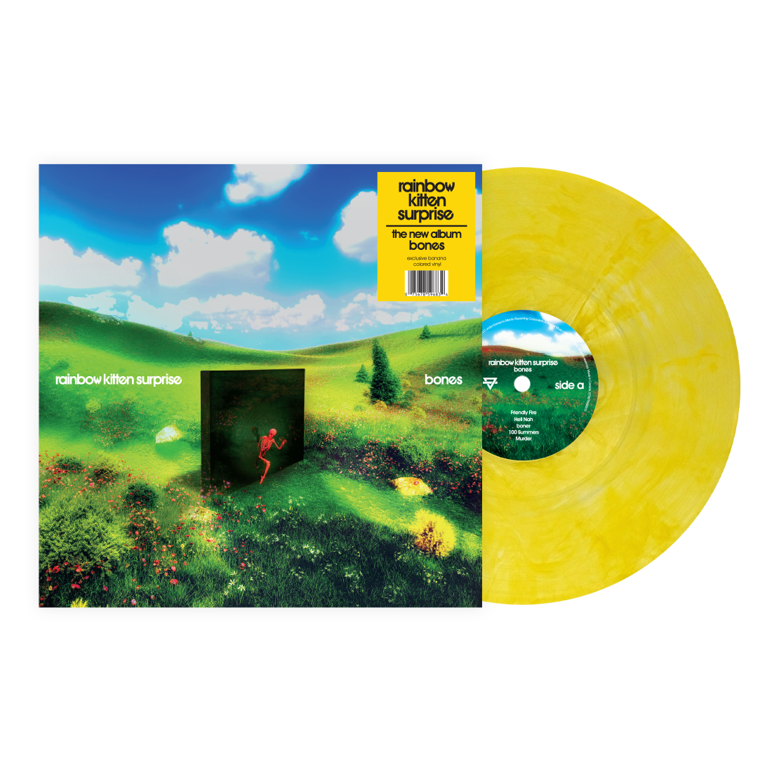 Rainbow Kitten Surprise - Bones (CD)