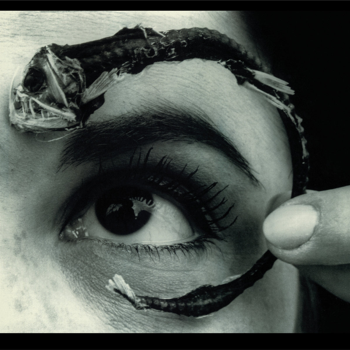 Mr. Bungle - Disco Volante