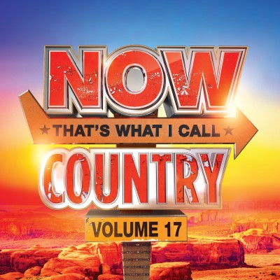 Now That's What I Call Country Vol. 17
