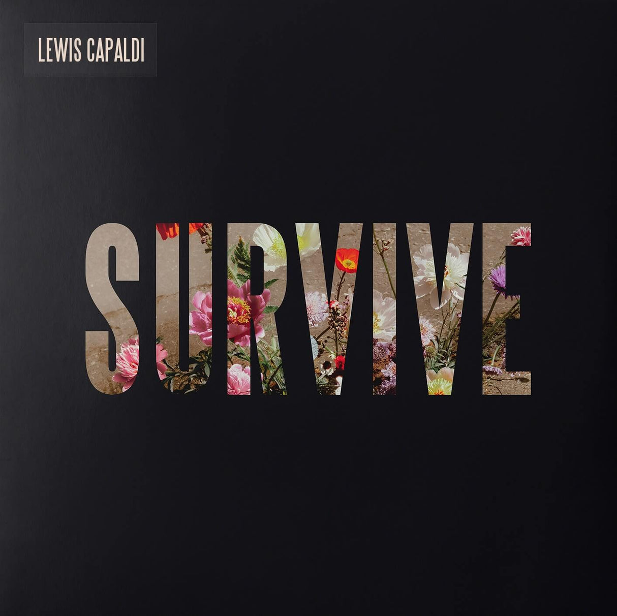 Capaldi, Lewis - Survive