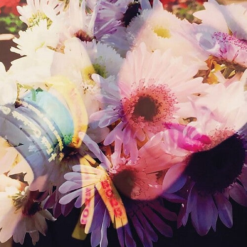 Veldt, The - Illuminated 1989