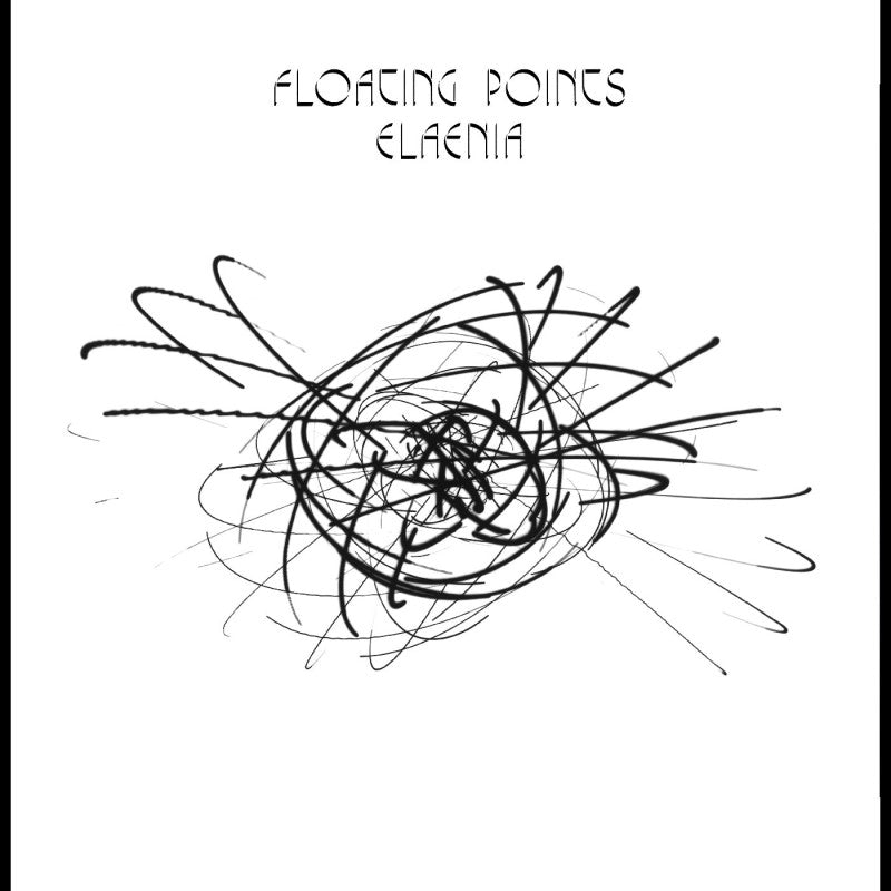 Elaenia