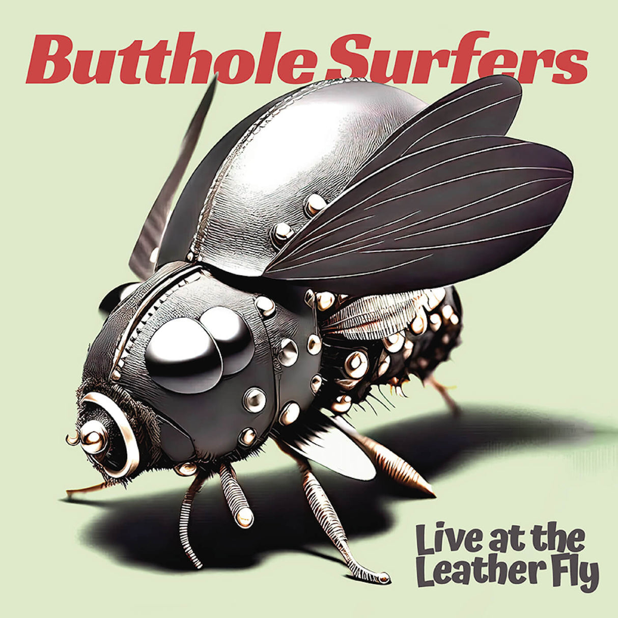 Butthole Surfers - Live at the Leather Fly