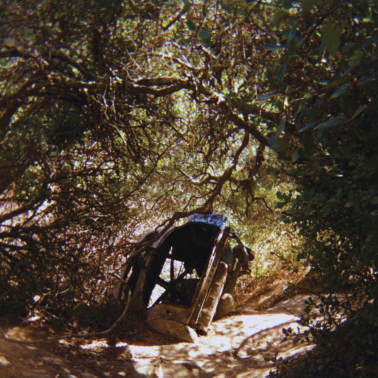 Segall, Ty - Possession