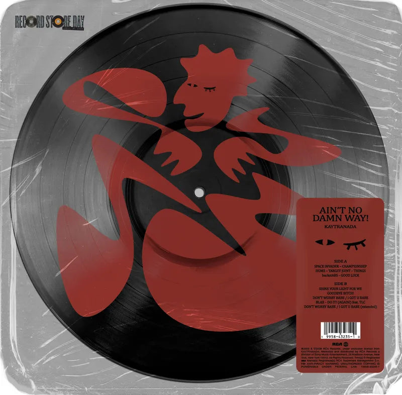 Kaytranada - Ain't No Damn Way!