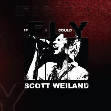 Weiland, Scott - If I Could Fly/Barbarella (Live)