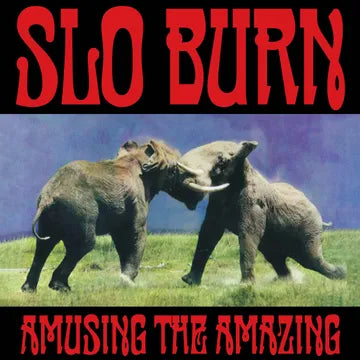 Slo Burn - Amusing The Amazing