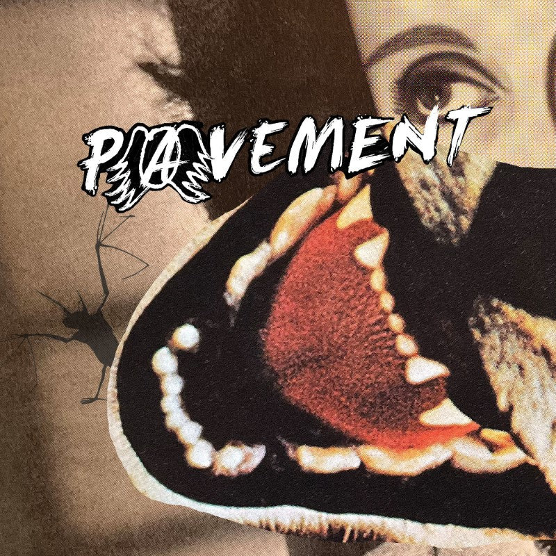 Pavement - Hecklers Choice: Big Gums and Heavy Lifters - A Pavement Collection (CD)