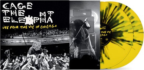 Cage The Elephant - Live From The Vic In Chicago