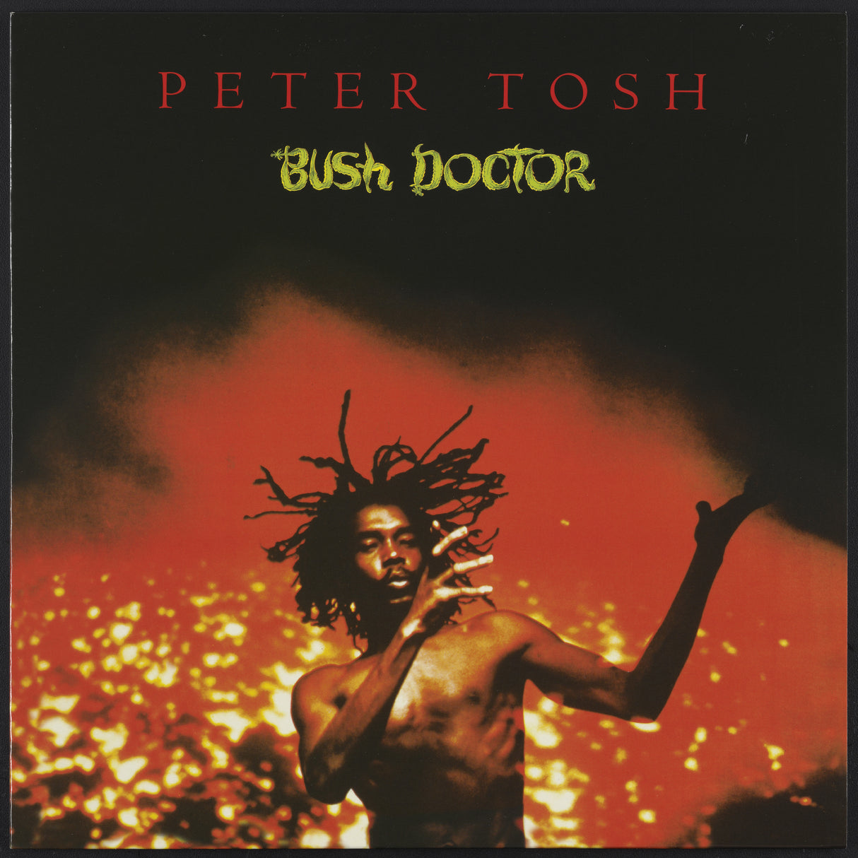 Tosh, Peter - Bush Doctor