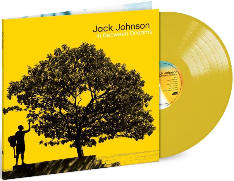 Johnson, Jack - In Between Dreams – AFK Books & Records