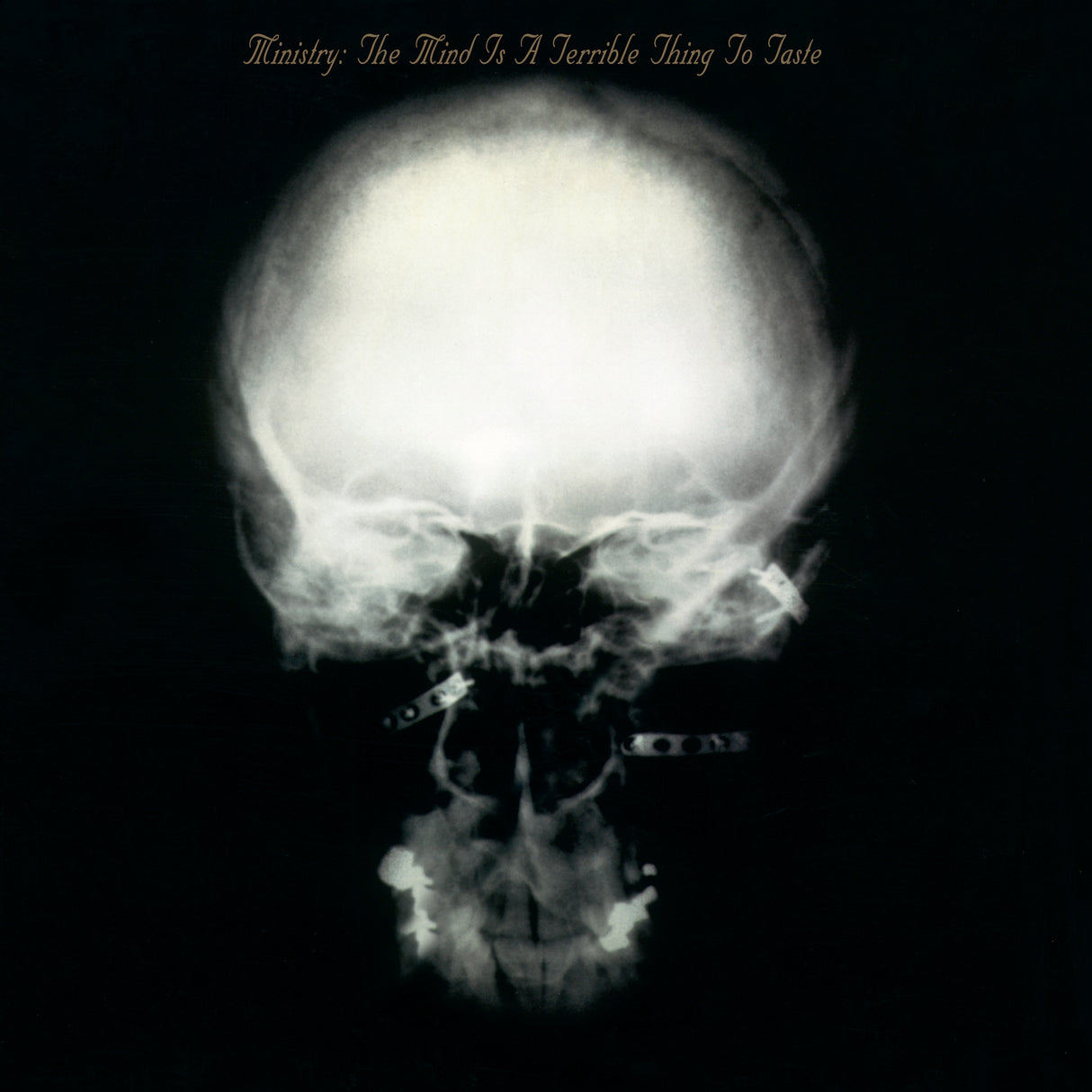 Ministry - The Mind is a Terrible Thing to Taste (Expanded Edition)