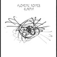 Elaenia