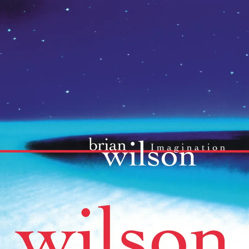 Wilson, Brian - Imagination