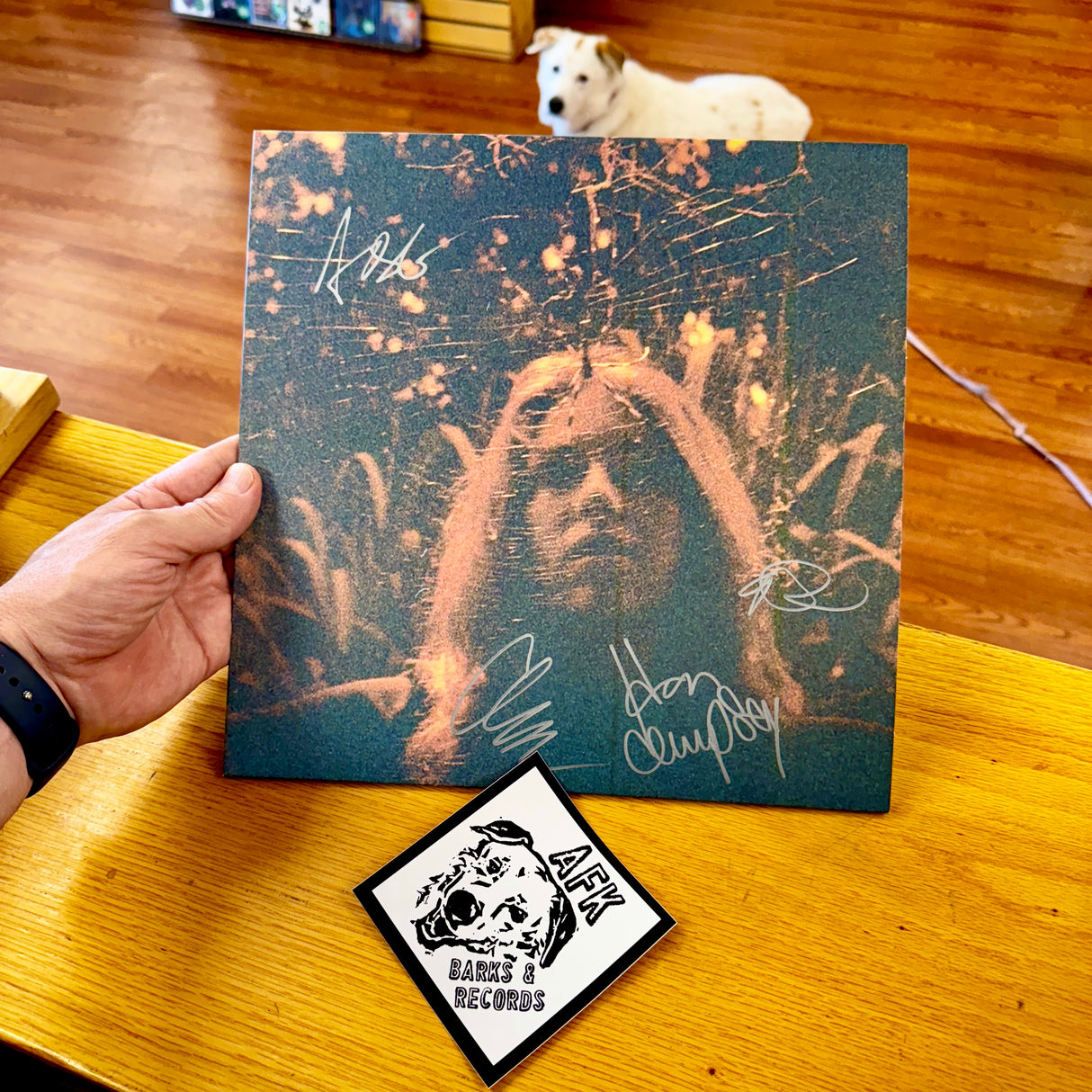 Turnover - SIGNED Peripheral Vision: 10th (Citrus Orange)