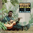Muddy, Brass & The Blues