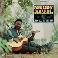 Muddy, Brass & The Blues