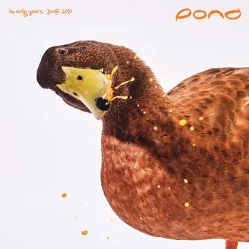 POND - The Early Years: 2008 - 2010