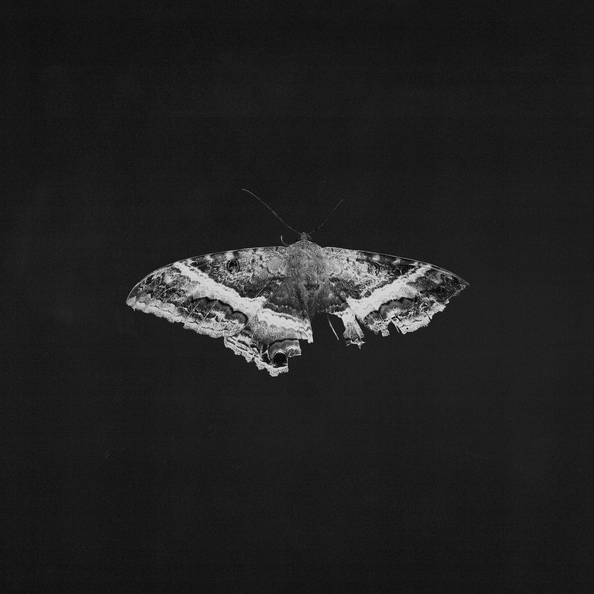 Lamar, Kendrick - To Pimp A Butterfly (10th Anniversary)