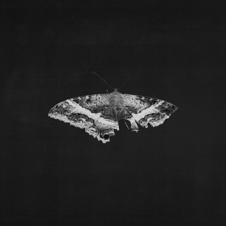 Lamar, Kendrick - To Pimp A Butterfly (10th Anniversary)